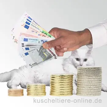Kosten für Katzen